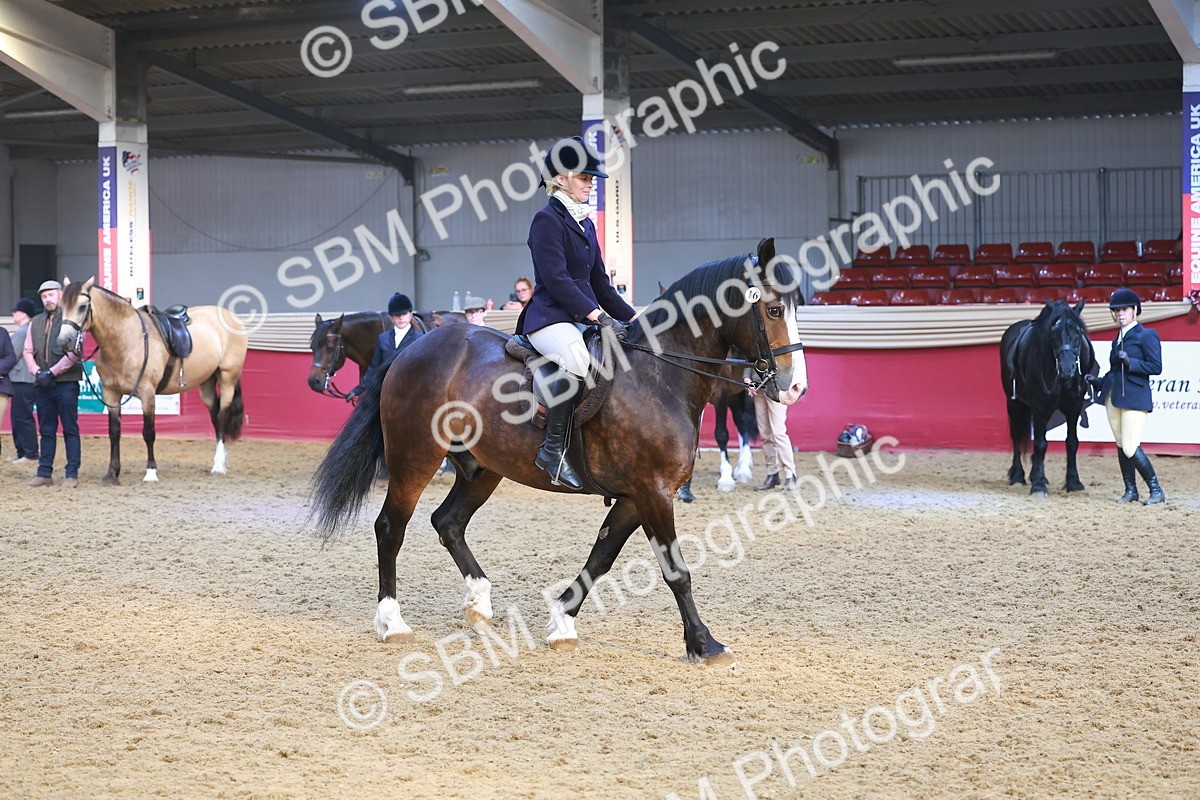 SBM_17795 - Class 952 - M&M Ridden Supreme Final