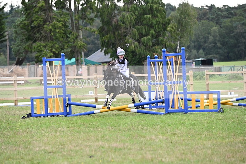 WJ6_0355 - 40cm Time 10:00 to 10:28