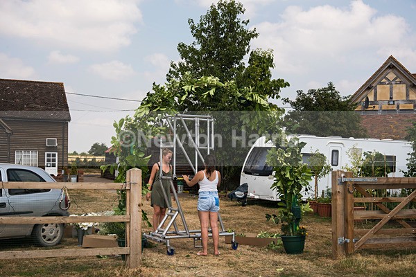 NMH-005 - Sonja and Steve's Wedding 21/7/2018