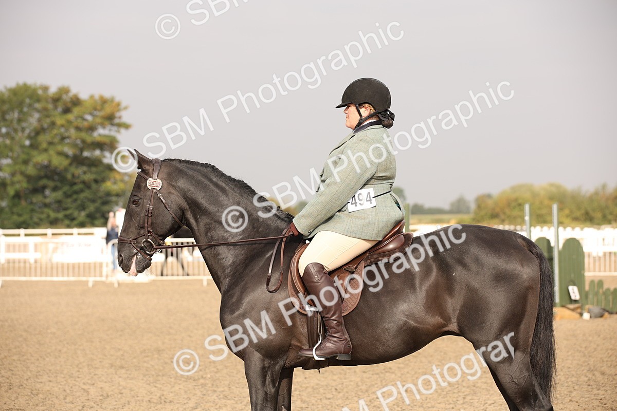 SBM_10230 - Class 402 Riding Club Horse
