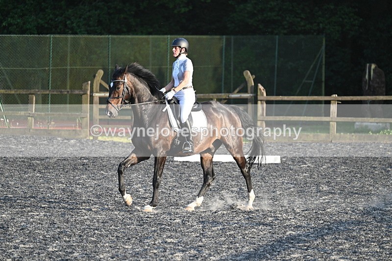 WJ7_0495 - Time 19:38 to 20:00