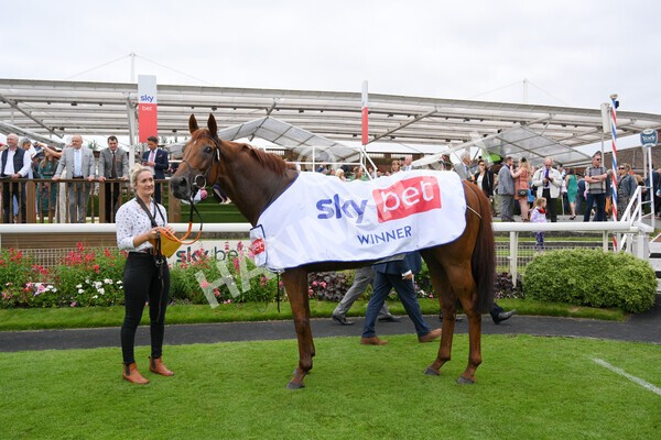 yr24072021r2-34 - Race 2 2.40pm Sky Bet Dash