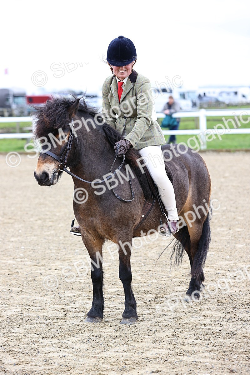 SBM_006850 - Class 29 - 30 - M&M Pure Novice Small-Large Breeds