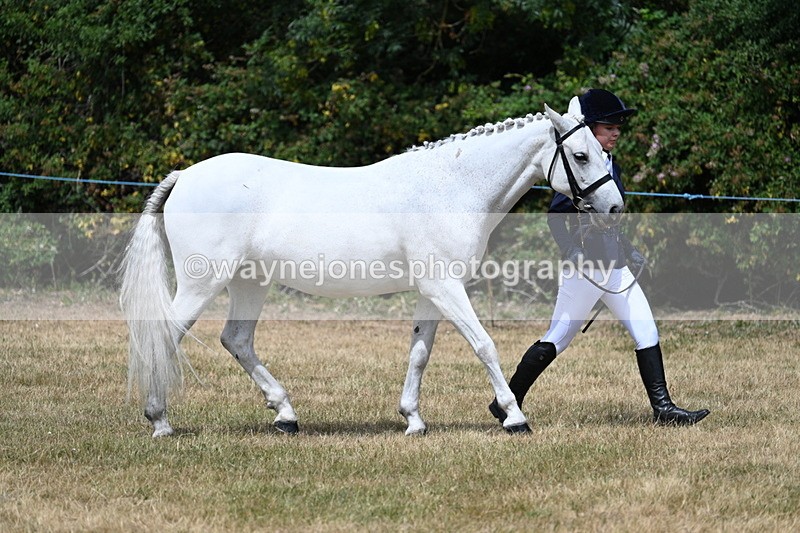 WJ7_1625 - Class 4 Prettiest Mare up to 14.2hh in hand