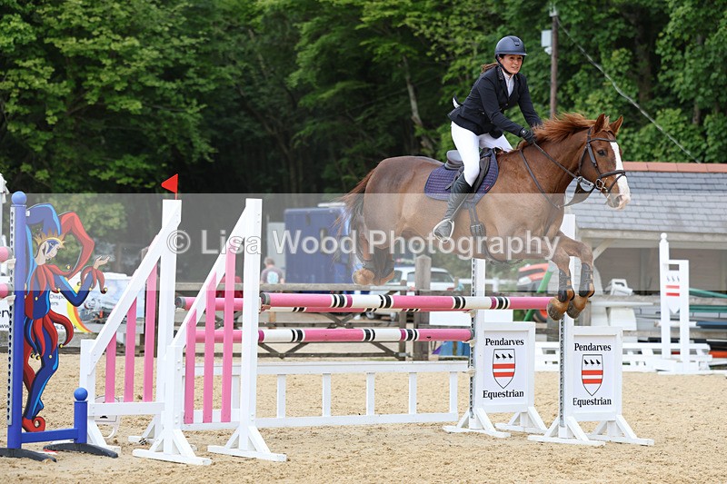 3E7A7473 - Class 8: Senior Foxhunter/1.20 open