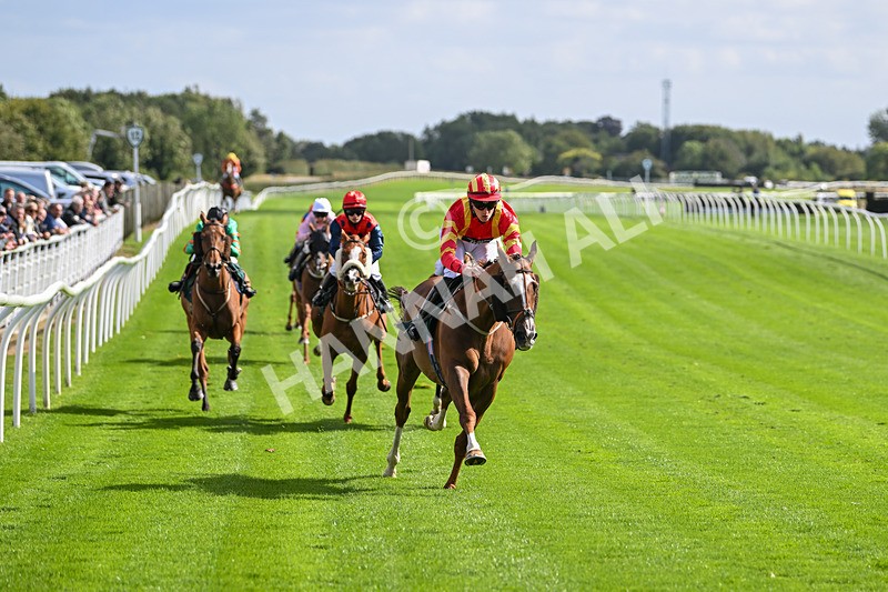 100924-Race 1-The Dancing Poet-9874 - Race 1