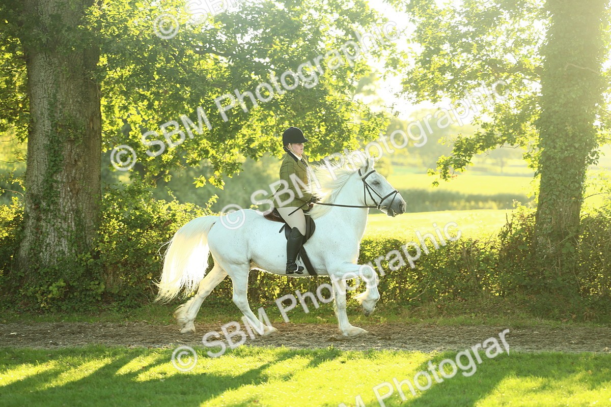 SBM_55622 - S14 - Riding Club Horse