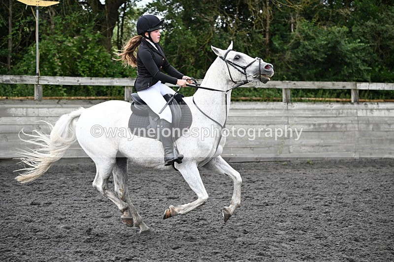 WJ6_0135 - Class 13 Novice 60cm
