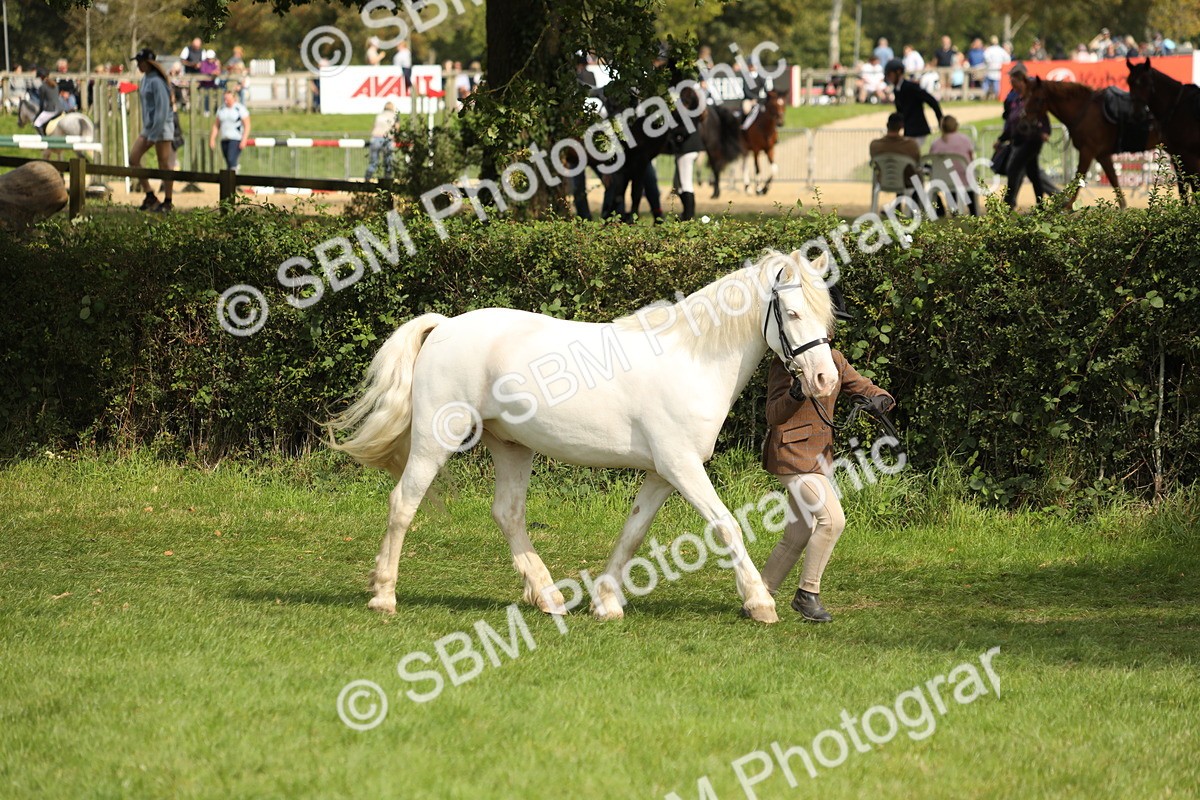 SBM_67736 - S39 - Junior Handler 8  Years & Under