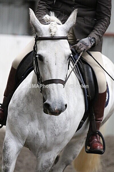SIAL5148 - CAbin Dressage 5th july 2025