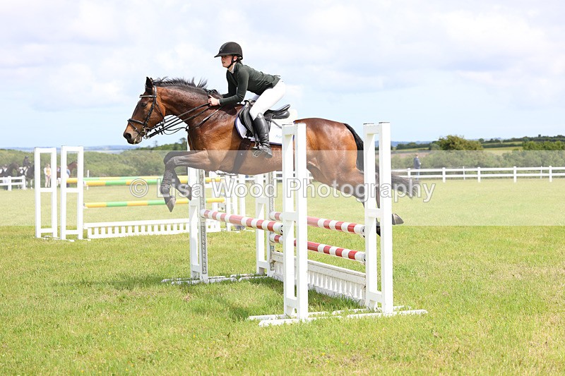 3E7A7509 - Class 13: Senior British Novice/90cm open