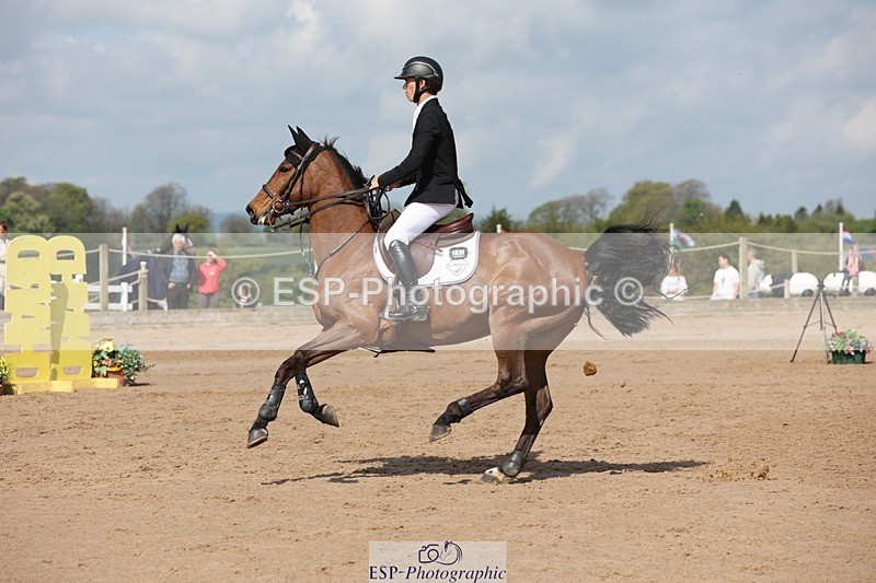 250427-105631-15708 - Cls 36 Young Horse 7yr old