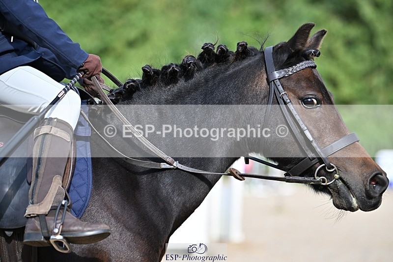 230824-165228-06188 - Round 1 Assisted 16.20 to End