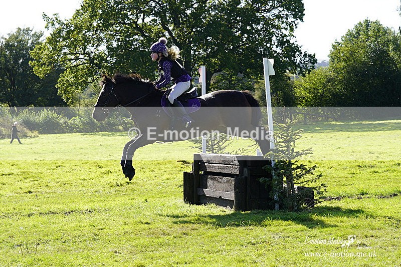  WWHT 031021 1306 - Open Novice (0.80m) 03/10/21