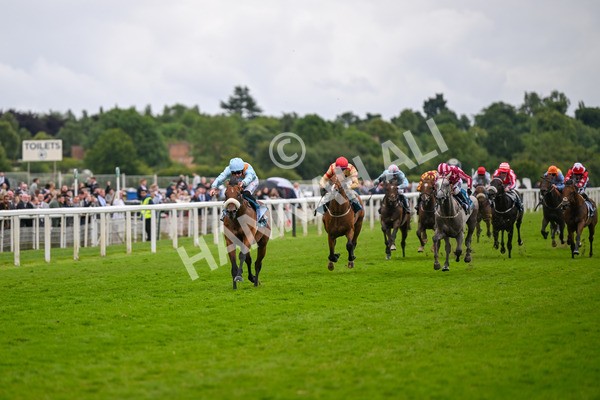 150624-Race 5-The Strikin Viking-7620 - Race 5 4.10pm Reg Griffin Appreciation ebfstallions.com Maiden Stakes