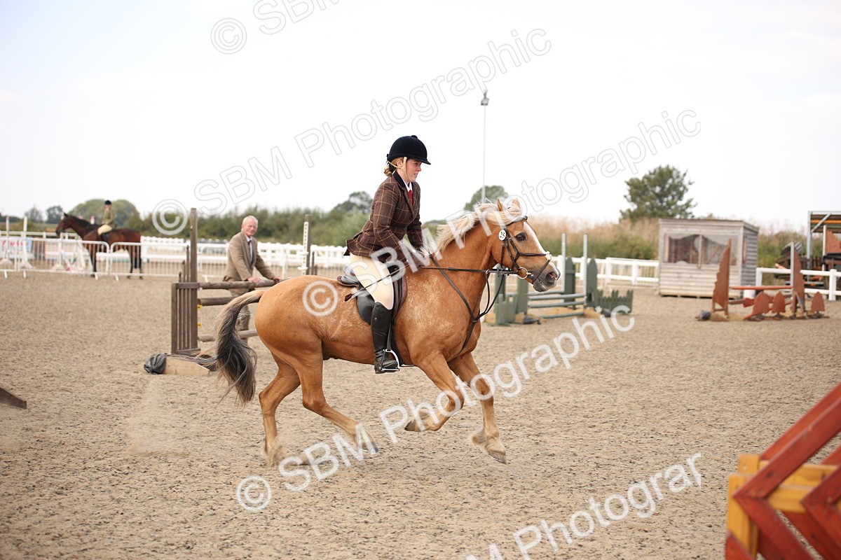 SBM_15995 - Class 408b - Working Veteran 70cm (20+)