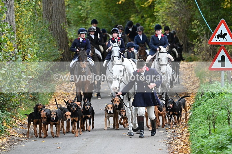 WJ7_7139 - Walk Home..