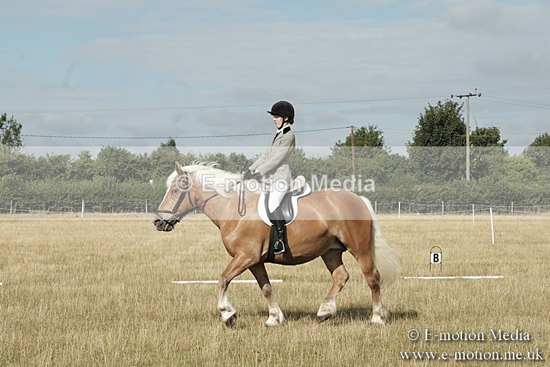 _PJP5574 - Dressage Classes BVRC Show 2018