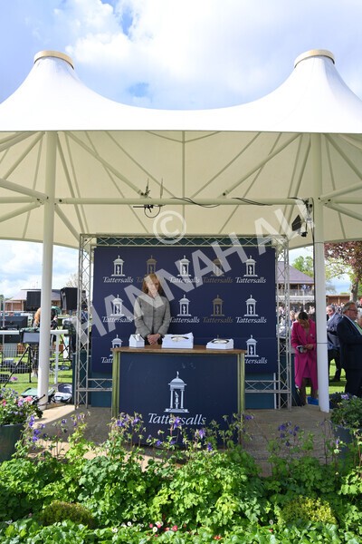 yr11052022r4-58 - Race 4 3.35pm Tattersalls Musidora Stakes
