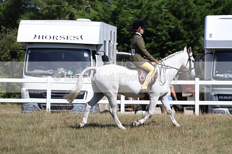 3E7A6345 - Working Hunter Championship