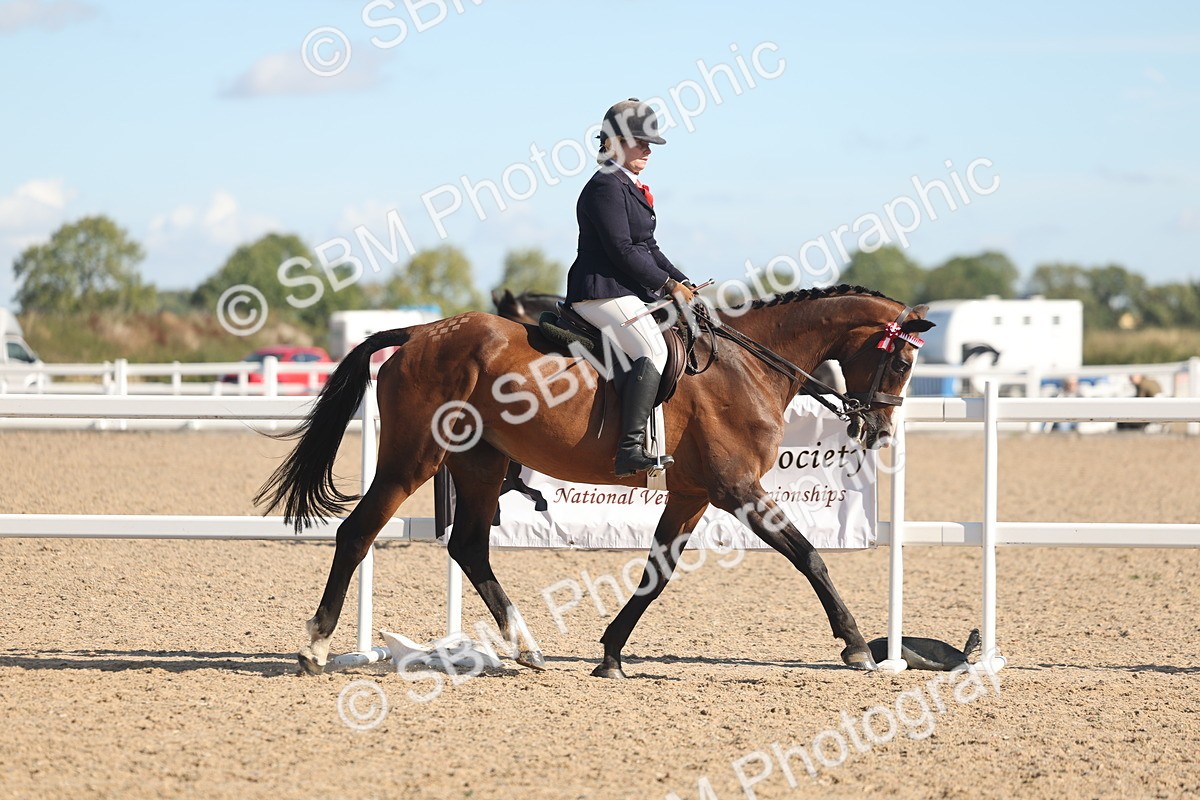 SBM_12993 - Class 305 - Ridden Foreign Breed Pure Bred