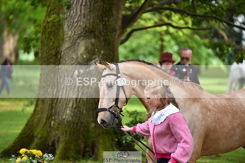 240522-155844-00615 - 109-MJM_BOBBY_DAZZLER-Rosie_Ringer