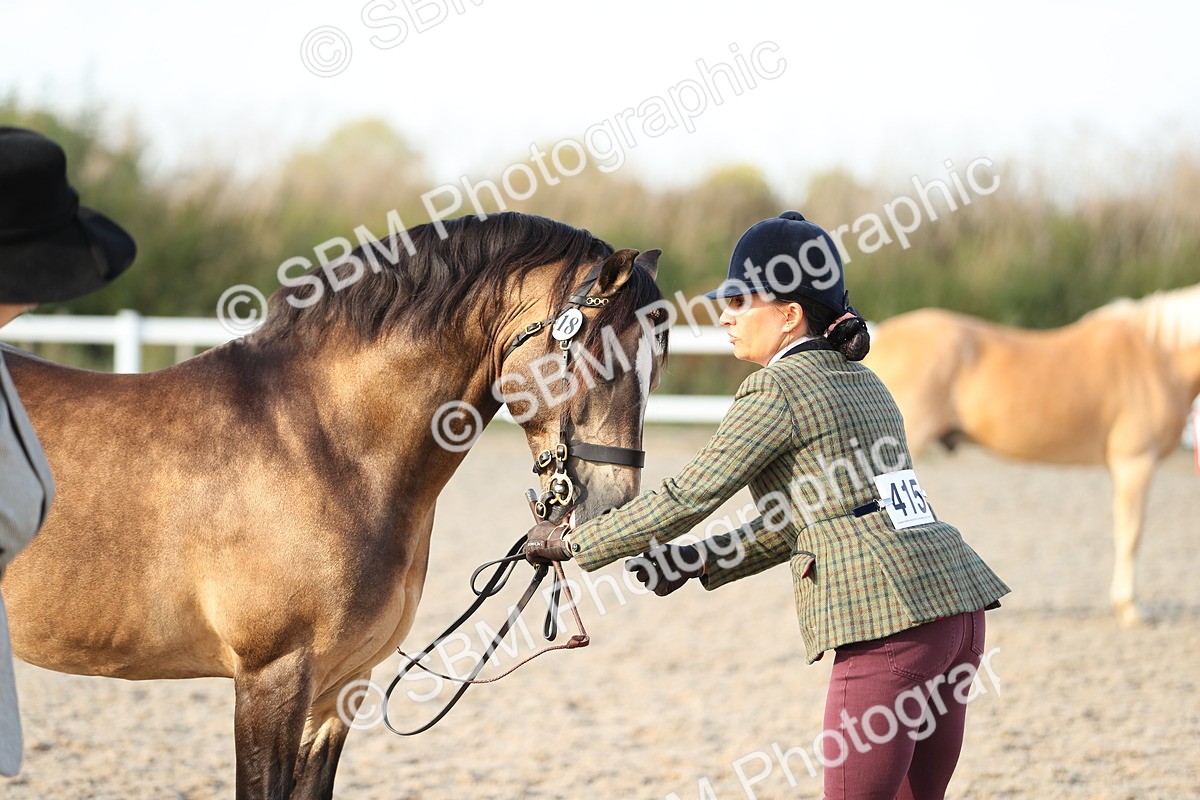 SBM_08947 - Class 29 IH Veteran Pony