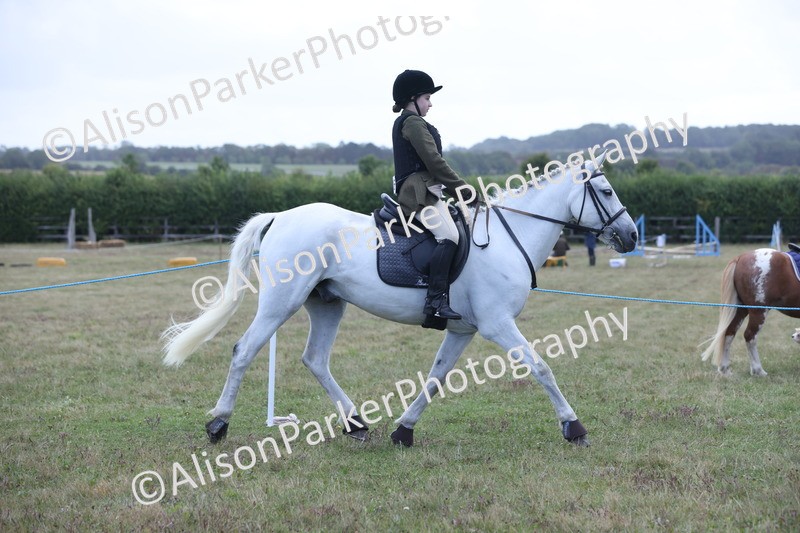 20250831-2400 - Class 16 - Family Pony