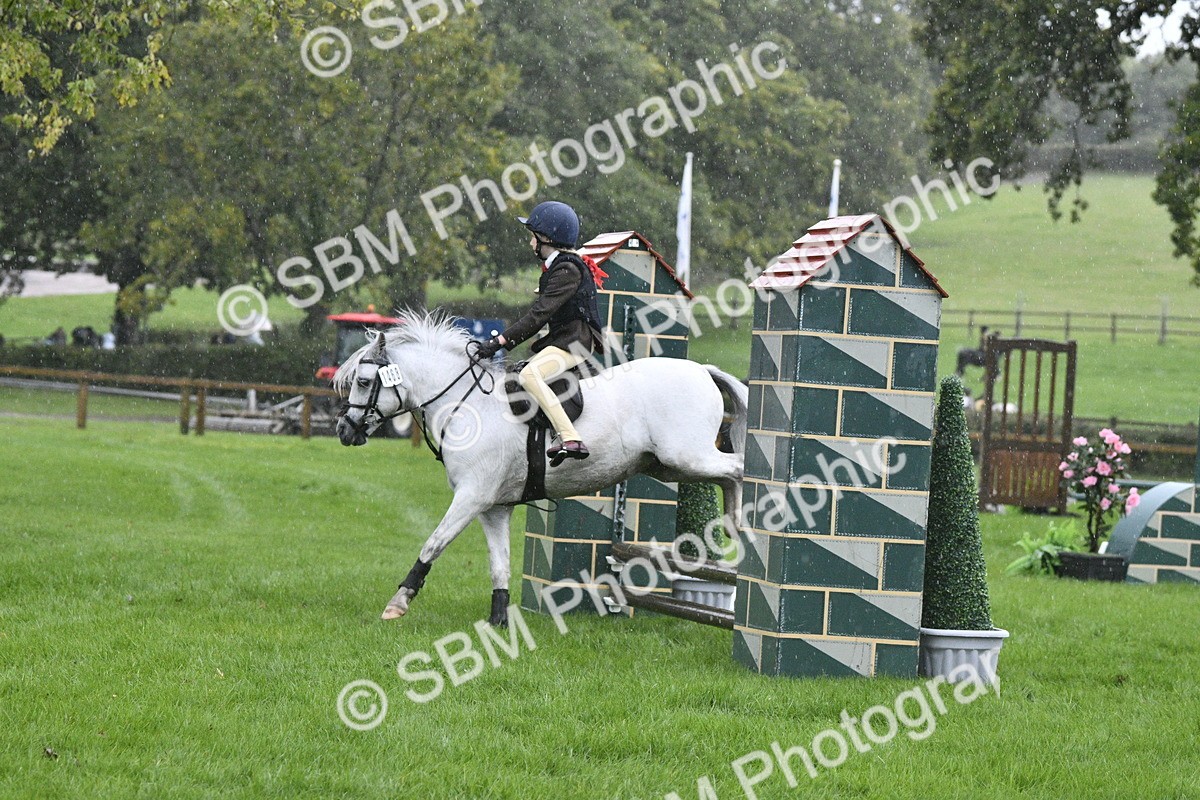 SBM_37123 - S31 - Novice & Newcomer Working Hunter Pony