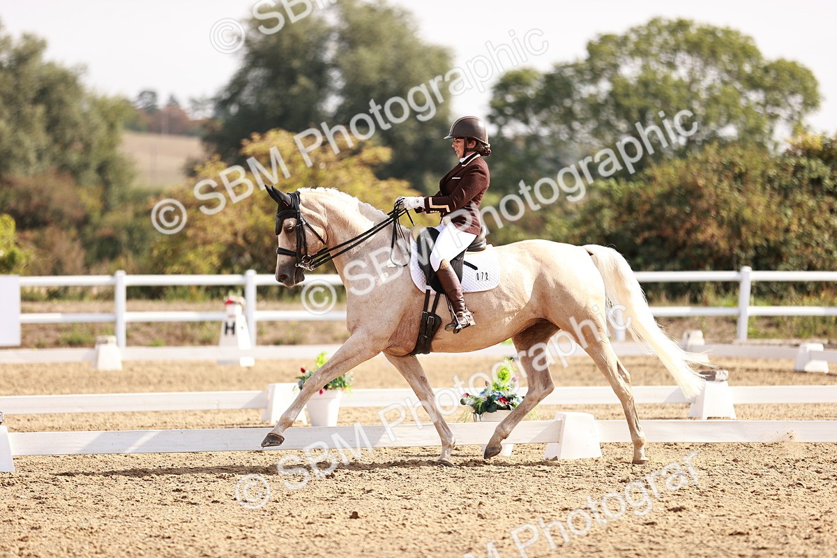 SBM_017030 - Class 10 - Medium 6