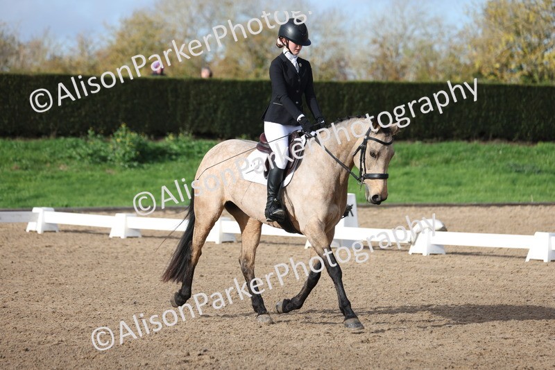 20251101-0292 - Class 2 - Prelim 1