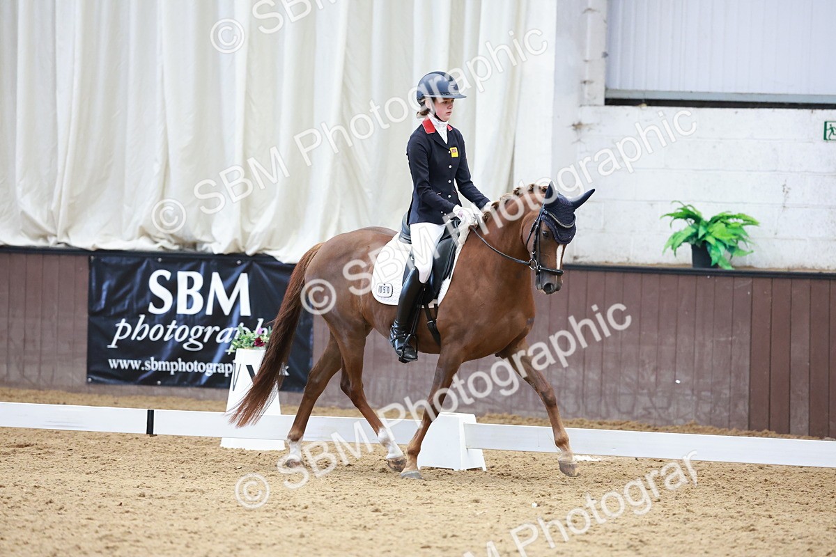 SBM_017185 - Class15 - FEI Pony