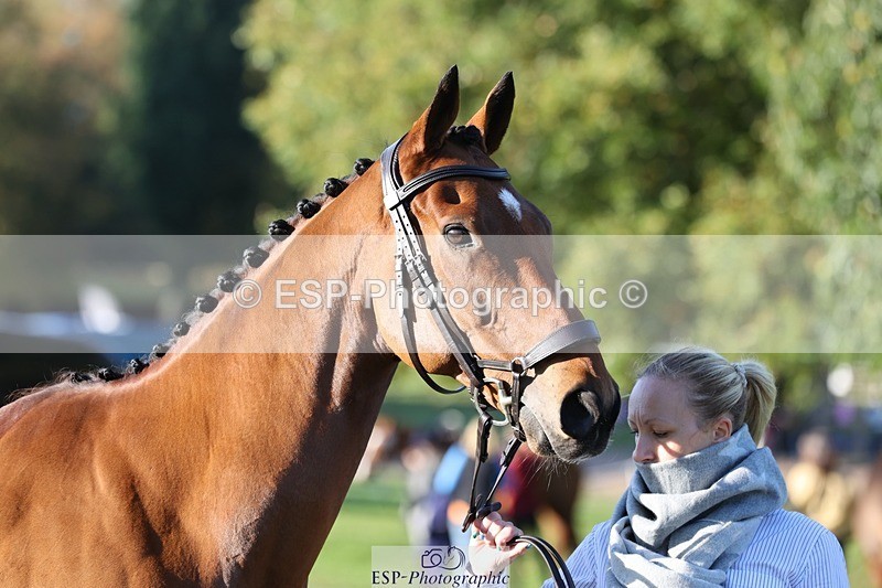 241027-091329-15133 - 462-Helen.Jackson-ADAMS.PARK