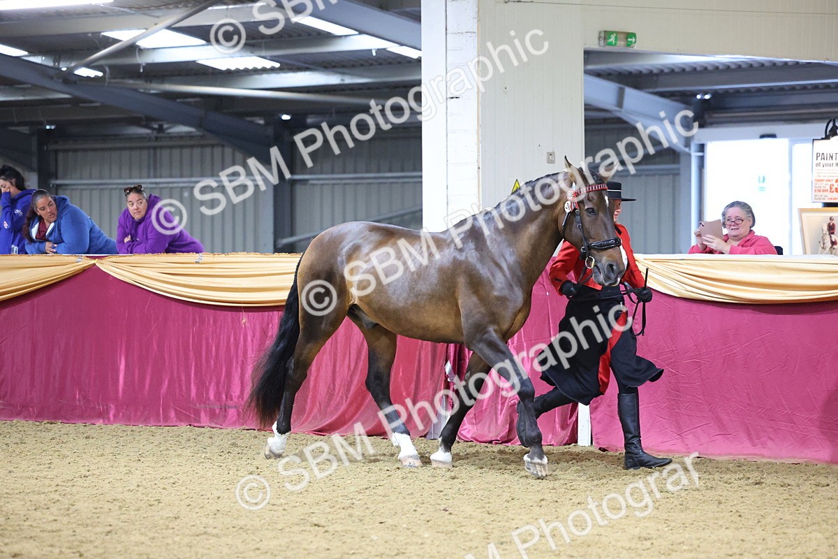 SBM_20789 - Class 902 - Supreme Final IH Veteran