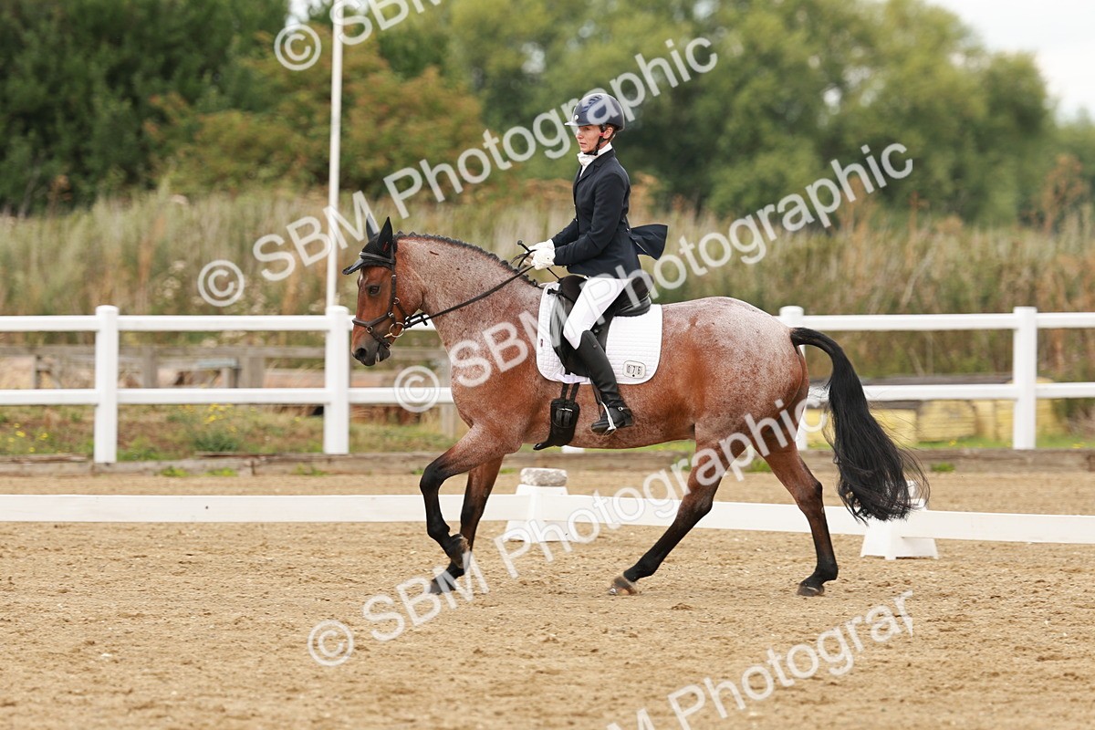 SBM_001085 - Class 4 - Novice 5