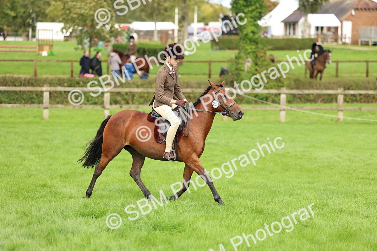 SBM_45401 - S33 - Working Hunter Pony