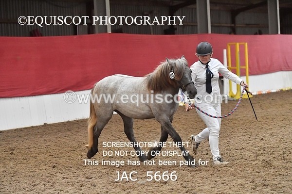 JAC_5666 - 6 Glenmuir Niamh