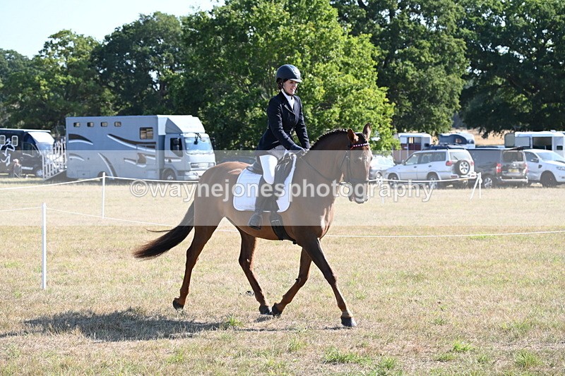 WJ6_7205 - Class 33 Rescue Pony