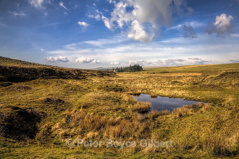 Gutter Mire - The Moors