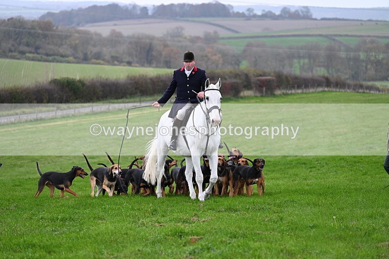 WJ7_8858 - Meet Staff & Hounds