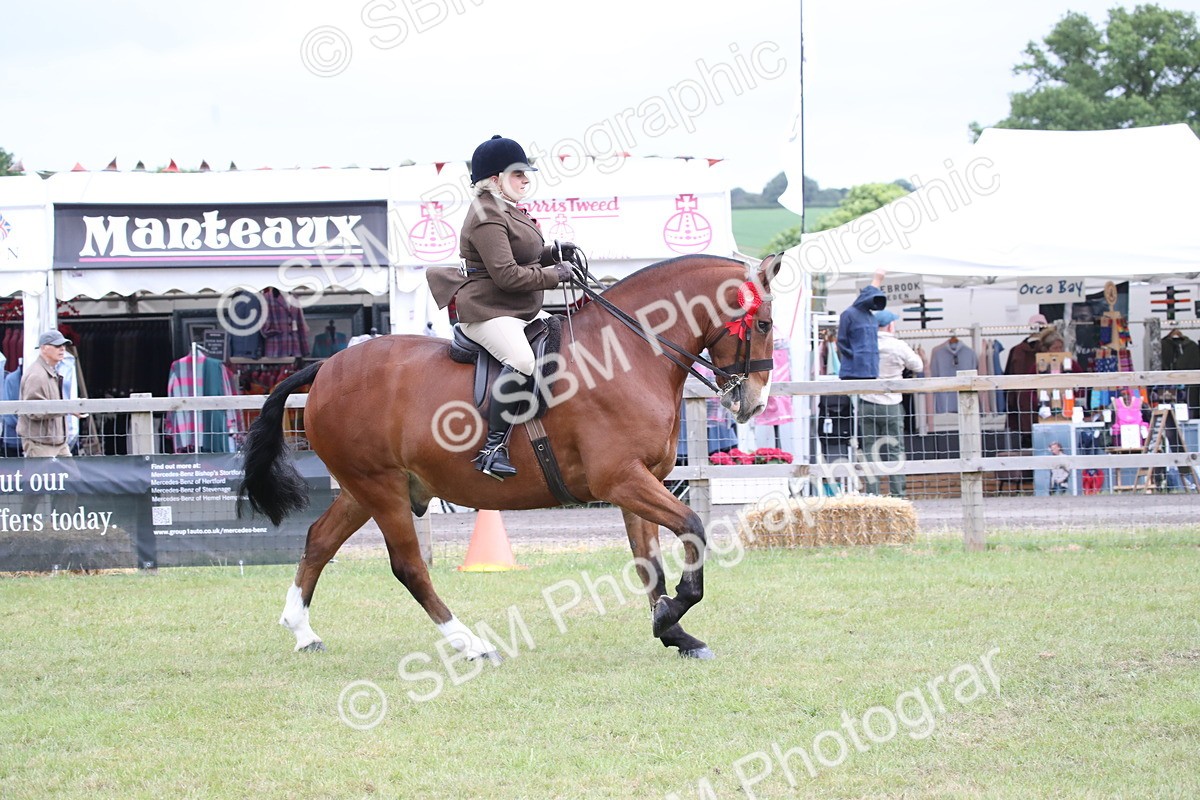 SBM_11341 - Class 92-93 - LIHS BSHA Rising Star Cobs
