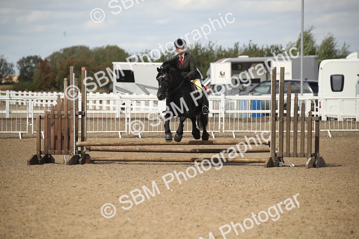 SBM_15160 - Class 505b - M&M Working Veteran - 50cm (20+)