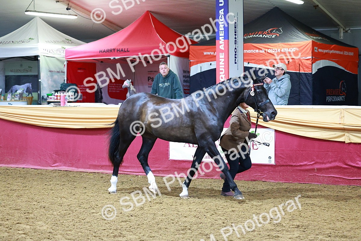 SBM_15989 - Class 901 - Sup Final - IH Diamond