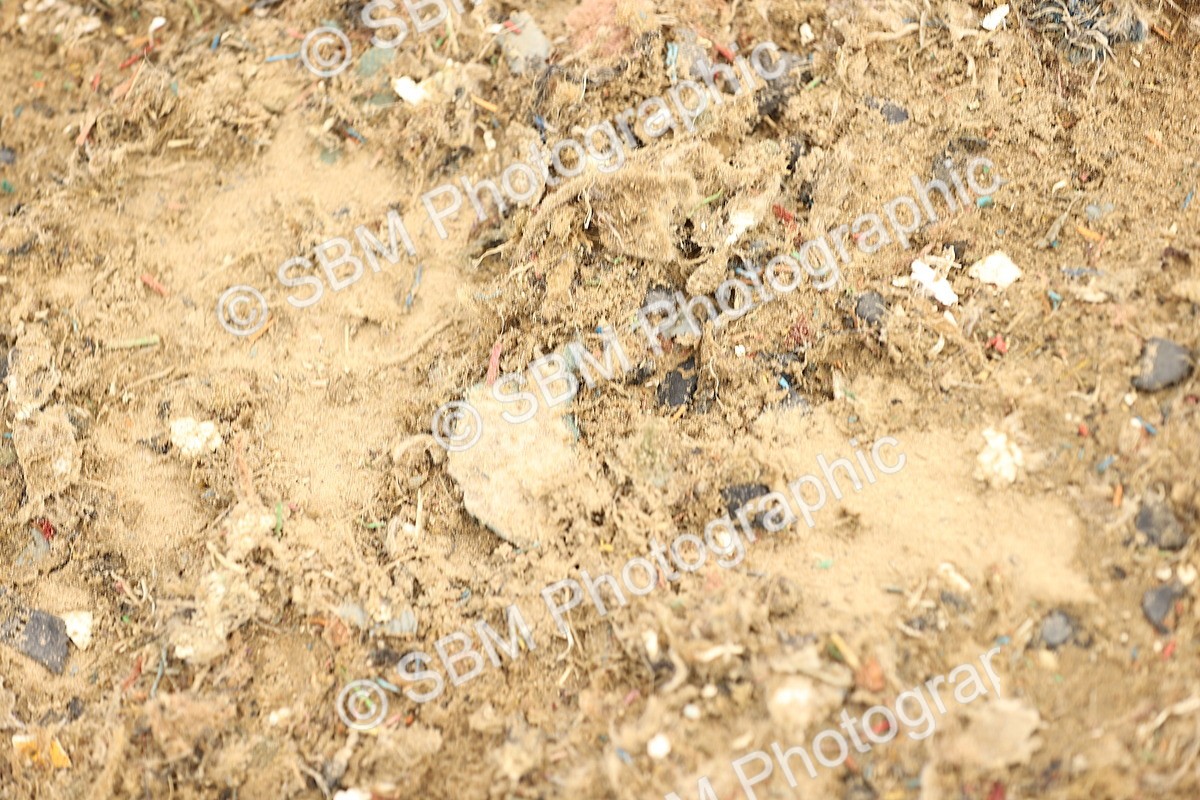 SBM_002136 - 80cm