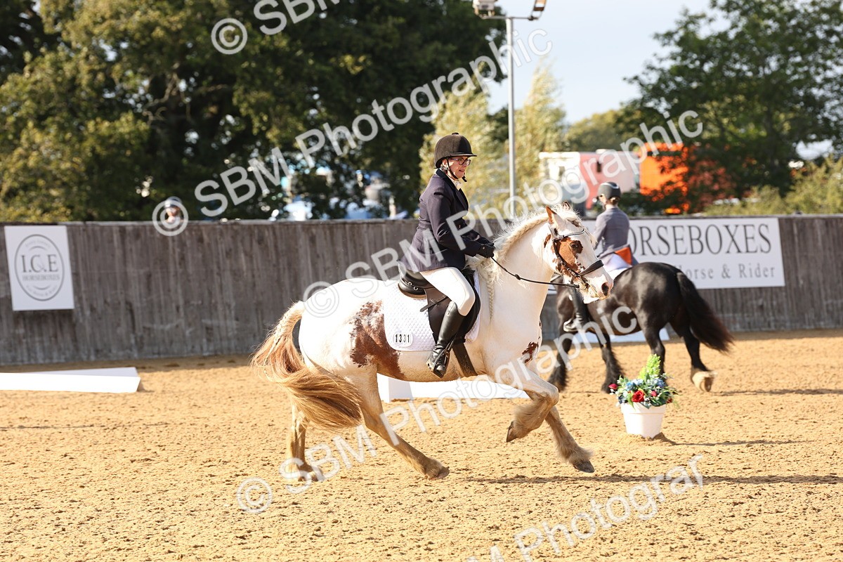 SBM_50527 - D12 - Small Tour Championship prelim 2