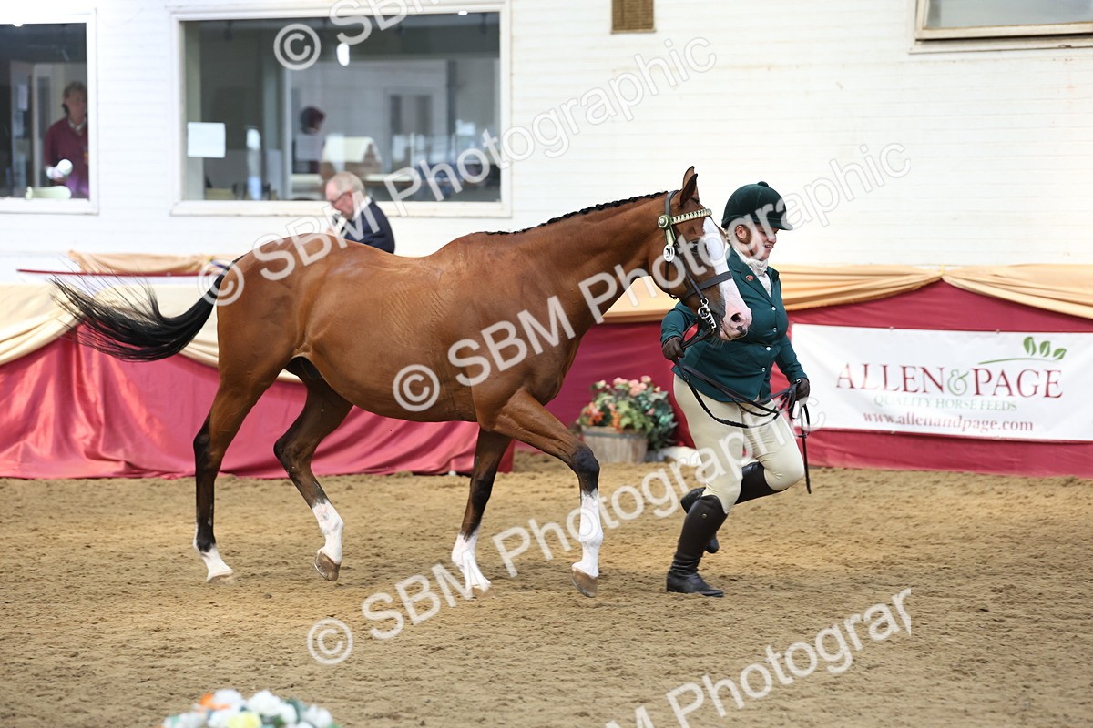 SBM_24098 - Class 905 - Supreme Final - Ridden Veteran