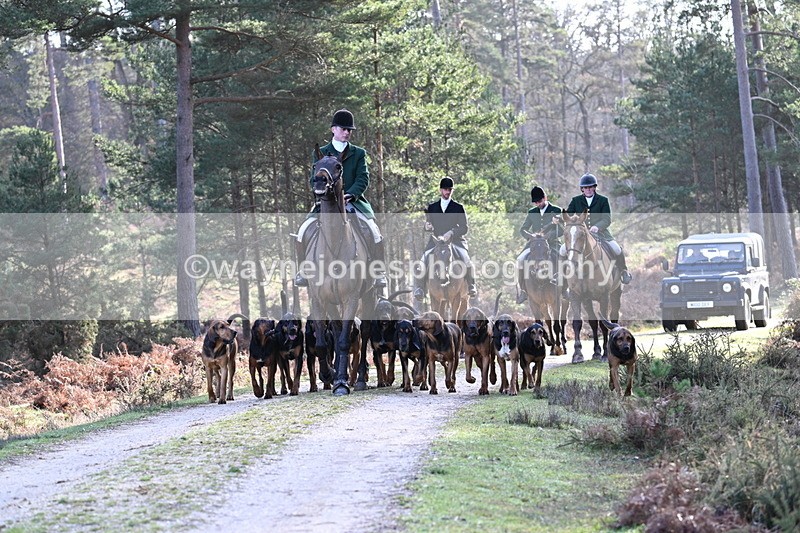 WJ7_7660 - Line 3 (no line 4 or 5)