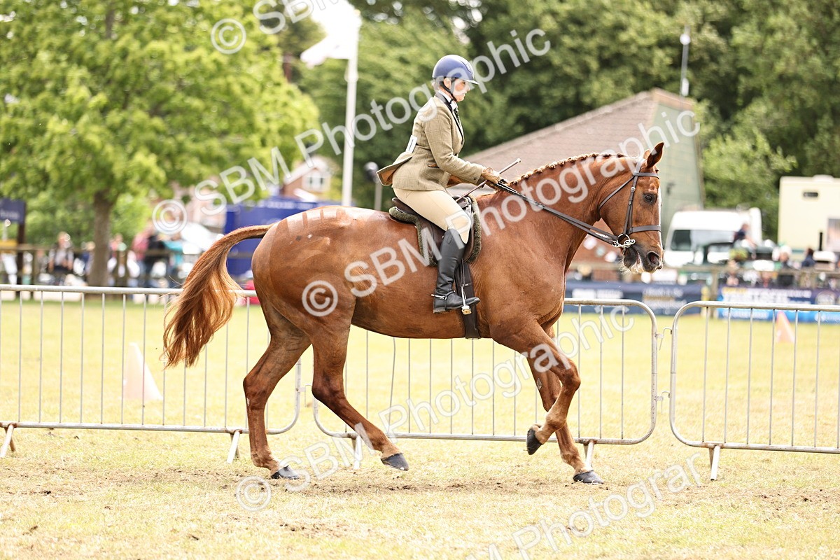 SBM_14672 - Class 88-89 - LIHS BSHA Rising Star of Ridden Hunter Type