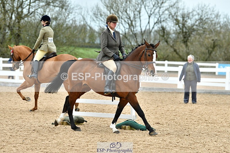 230416A-142950-05228 - Cls 74 Warmblood