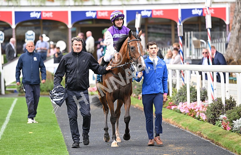 200826-173 Mia Fantasia - Race 6 16.45pm Mews Hotel Ossett EBF Stallions Nursery Handicap